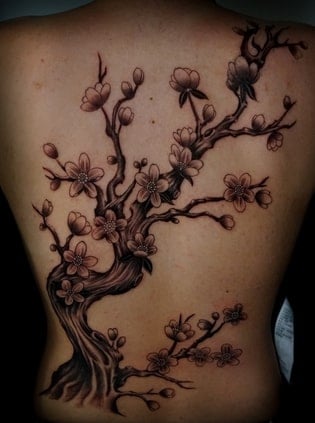 cherry blossom tree tattoo ideas