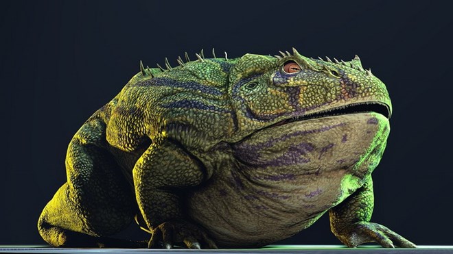 Phát hiện loài ếch cổ đại khổng lồ có thể hạ gục khủng long - Báo Quảng Bình điện tử