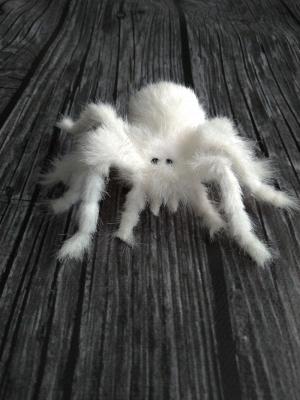 Discover teddy spiders on Tedsby