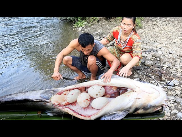 Full Videos: Surgery fish with eggs, Cooking fish and Survival Fishing - YouTube