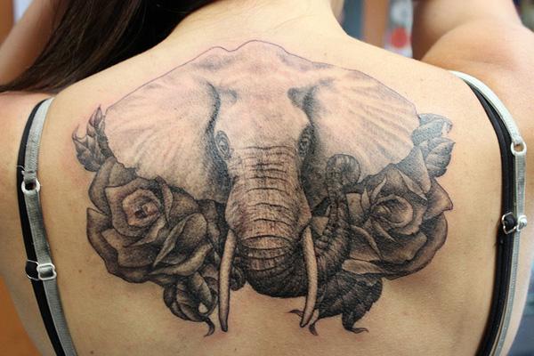 Elephant head adorned with roses