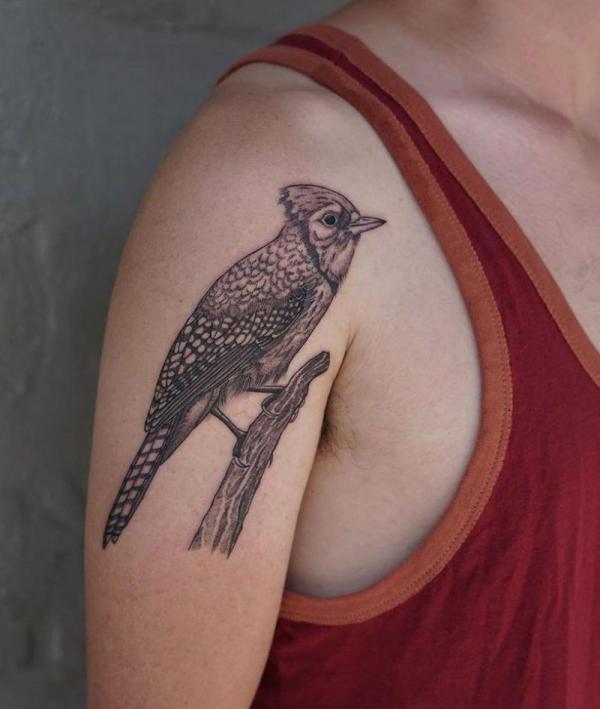 Black and grey blue jay upper arm tattoo 1