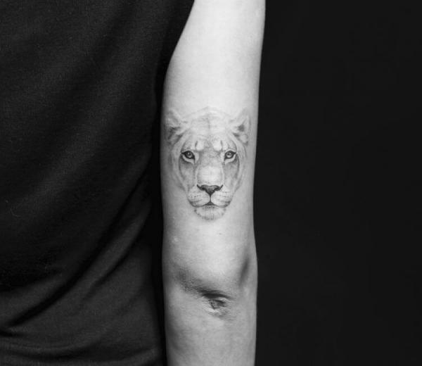 Black and grey realistic lioness tattoo above elbow