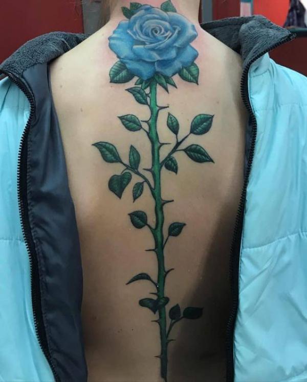 Blue rose with thorns