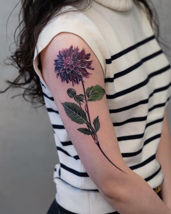 Deep purple dahlia tattoo on upper arm