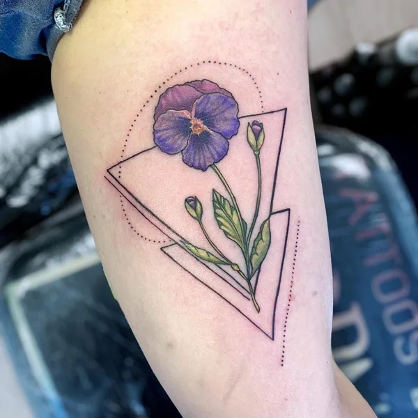 Double triangles with violet flower