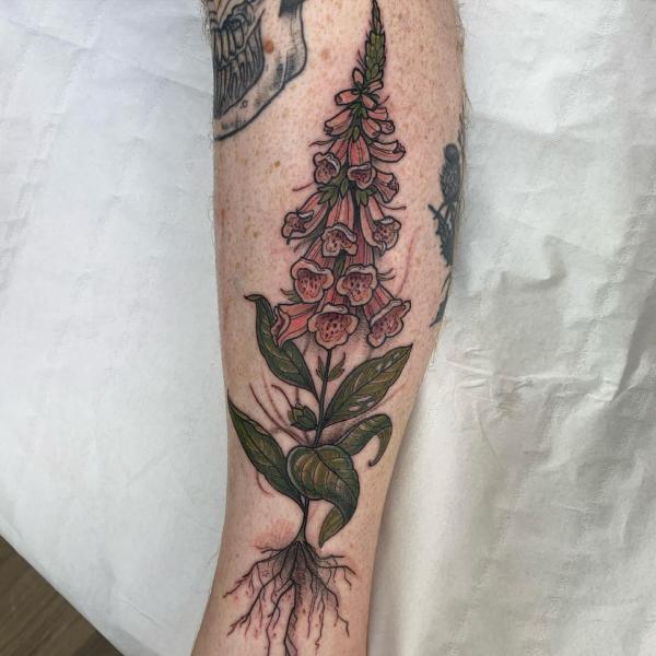 Foxglove traditional tattoo