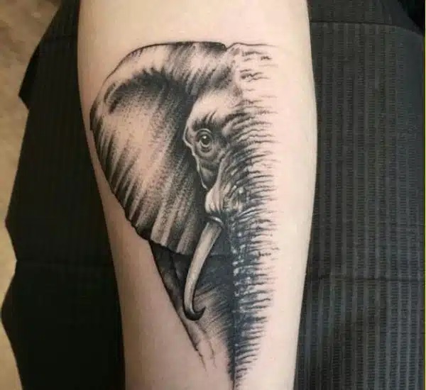 Half Elephant face tattoo