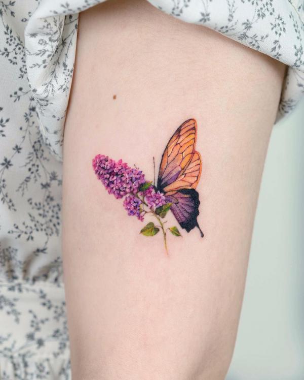 Half lavender half butterfly
