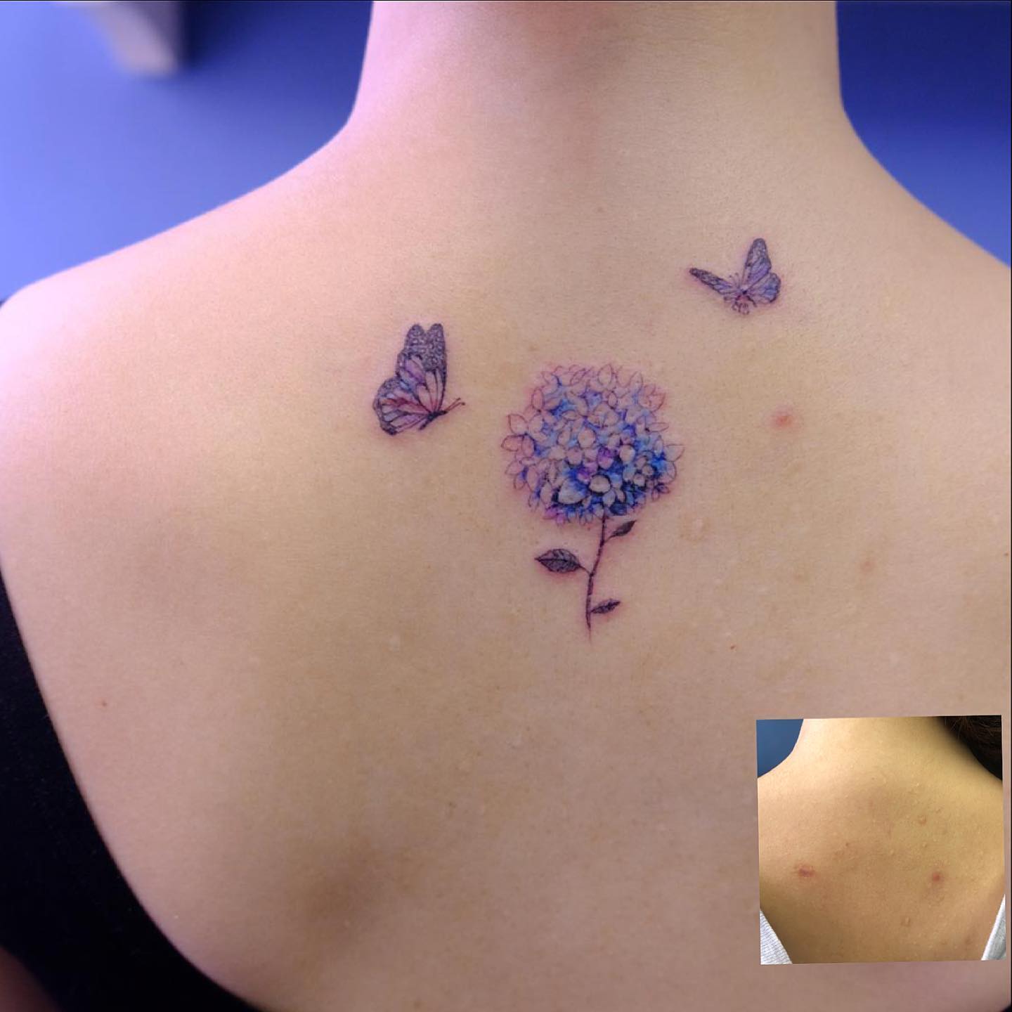 Hydrangea and butterfly back tattoo