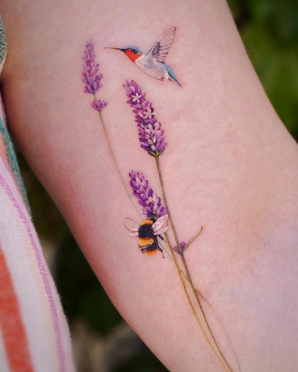 Lavender with bee and hummingbird