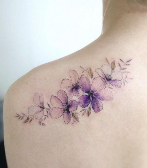 Light purple violet flowers