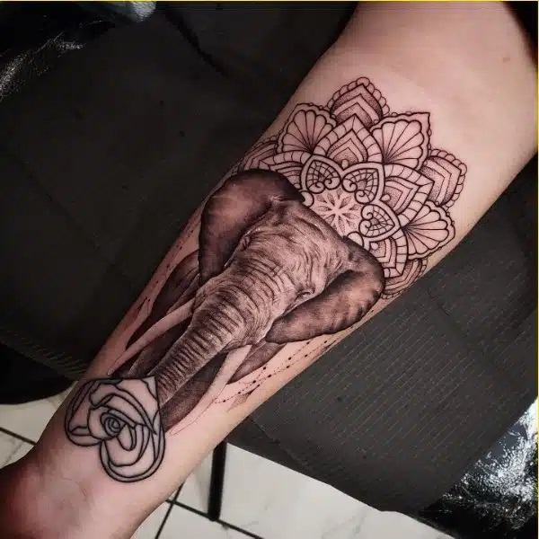 Mandala and rose elephant