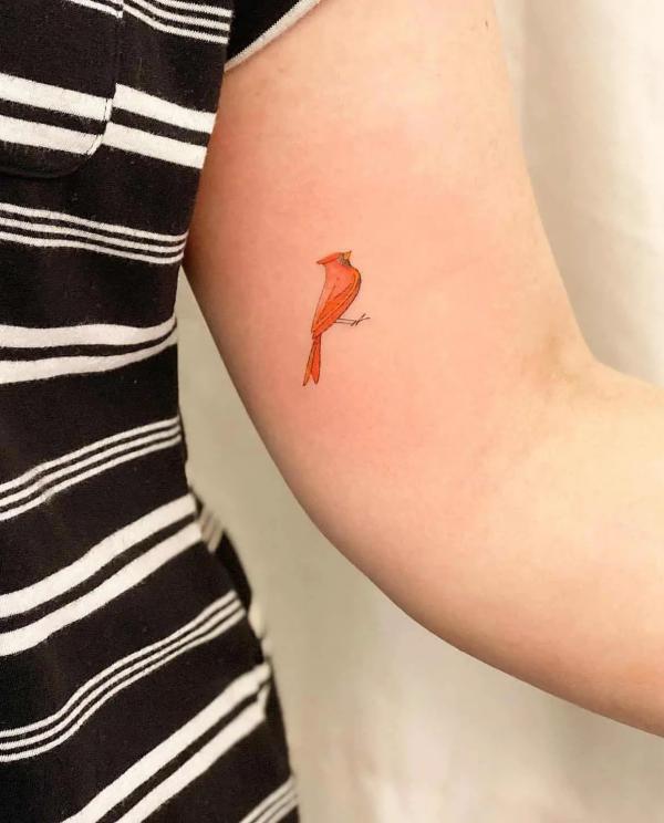 Minimalist cardinal upper arm tattoo 1