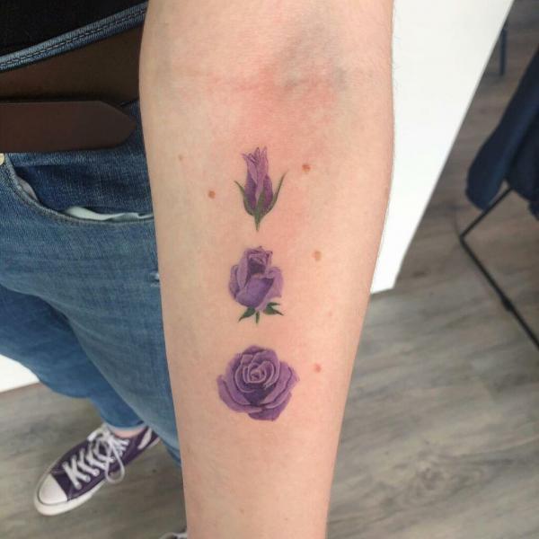 Purple rose growing tattoo from bud to bloom