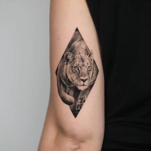 Realistic Lioness Tattoo above elbow