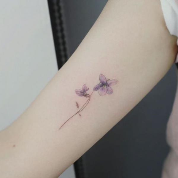 Simple violet flower