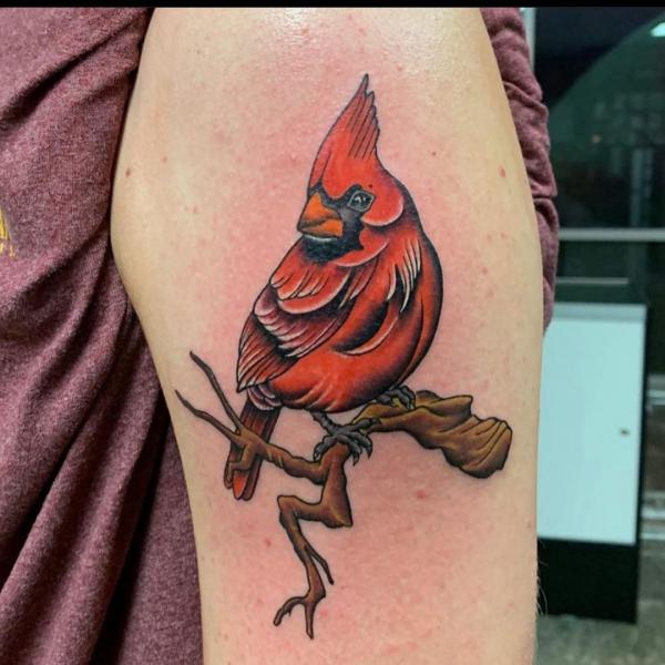 Single cardinal on old branch upper arm tattoo 1