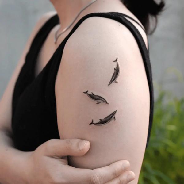 Small three dolphin upper arm tattoo