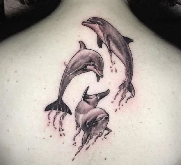 Trio-Dolphin-Tattoo