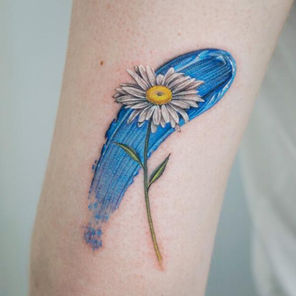 White daisy and blue stroke