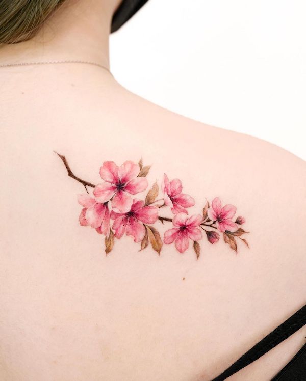 Cherry blossom shoulder blade tattoo by @donghwa_tattoo