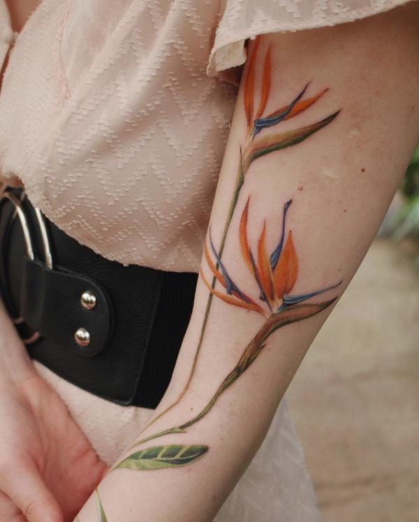 Bird of Paradise Tattoo: Embodying Exotic Beauty and Freedom | Art and  Design