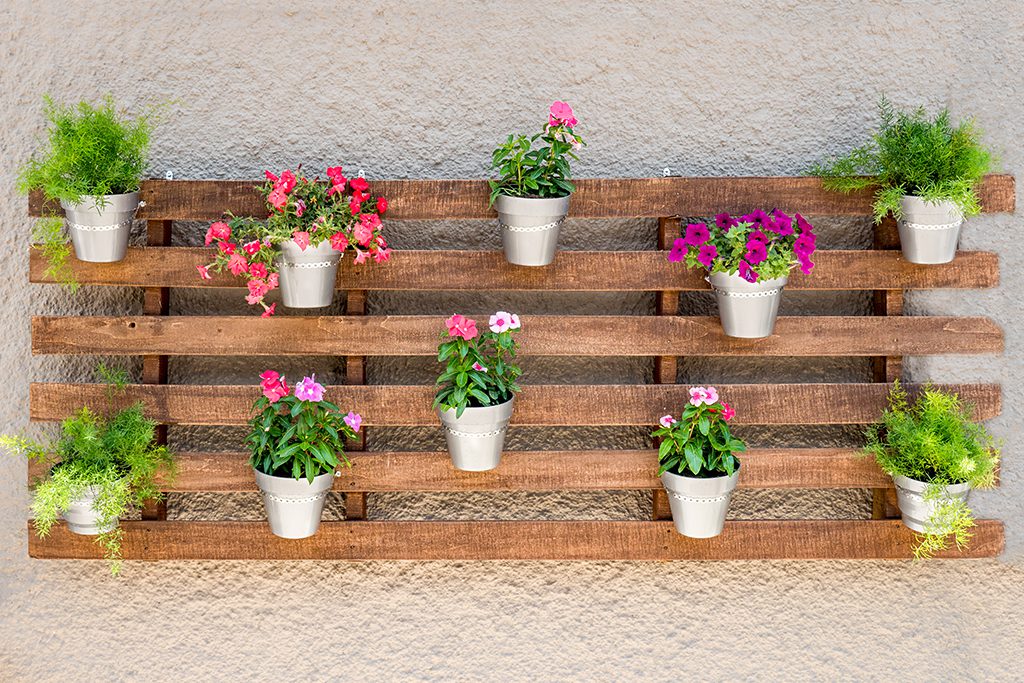 8 ideas para tener plantas en tu departamento | Blog de timbrit