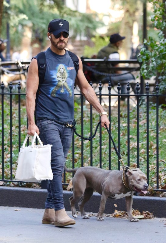 Justin Theroux, dog Kuma