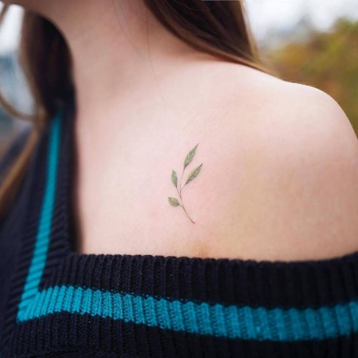 tiny sapling tattoo