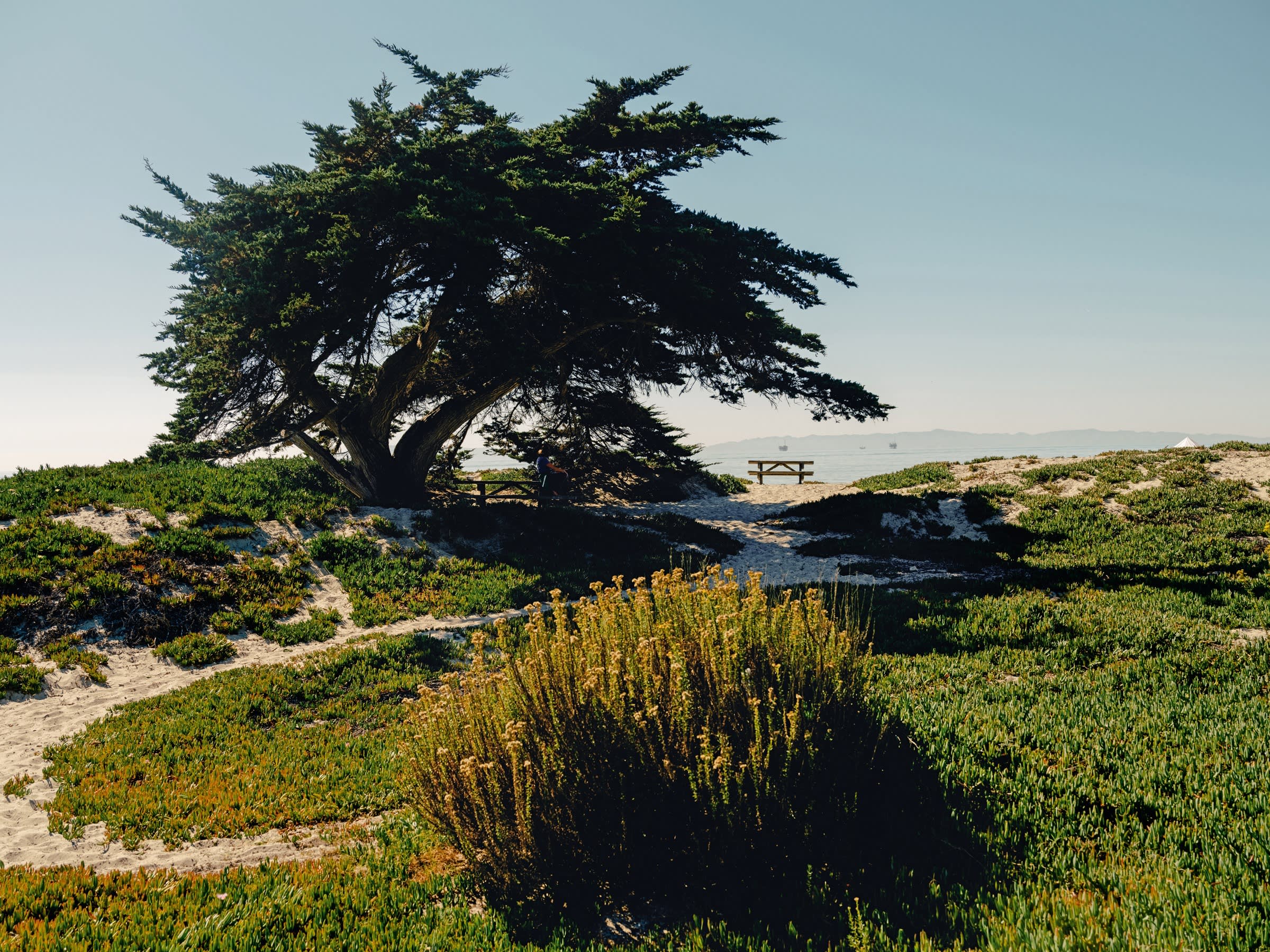 Carpinteria has terraced bluffs, dunes and a mile of sandy beach