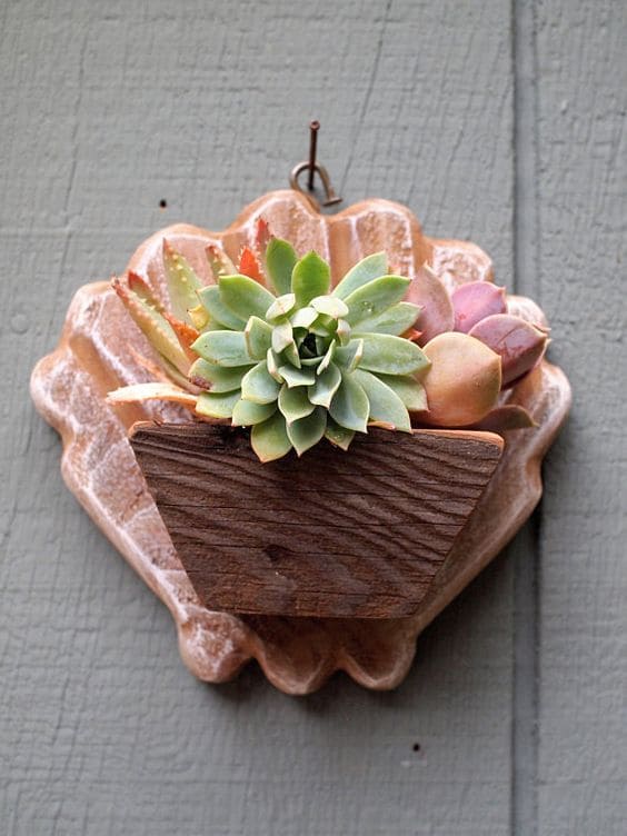 17 DIY Seashell Planter Ideas - 81