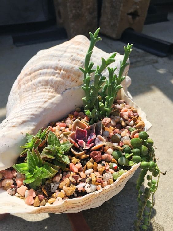 17 DIY Seashell Planter Ideas - 85